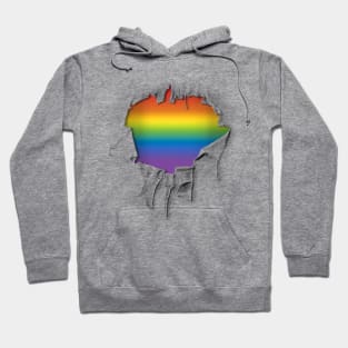 LGBTQ pride Hoodie